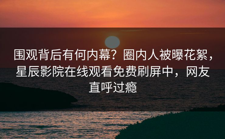 围观背后有何内幕？圈内人被曝花絮，星辰影院在线观看免费刷屏中，网友直呼过瘾